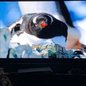 Meet your Posher, Rick